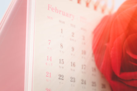 February Calendar and blured red rose with sun rays, Valentine's Day Concept.の写真素材
