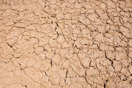 Cracked ground texture background.の写真素材