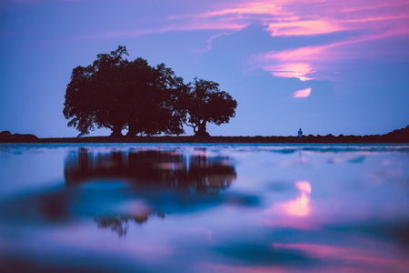 Silhouette tree and young man at sunset light on the beach, Nai Yang Beach, Phuket, Thailand.の写真素材