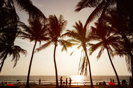 Silhouette of people on sunset, Surin Beach, Phuket Island, Thailand.の写真素材
