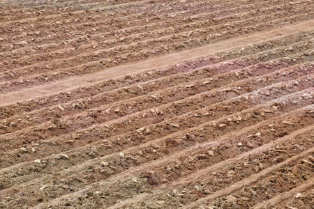 Land prepared for planting. rows of soil before planting.