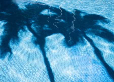 Palm tree shadows in blue tile swimming poolの写真素材