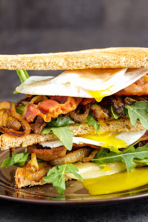 Bacon and egg sandwich with provolone cheese, arugula, spicy caramelized onion on toasted multigrain breadの写真素材
