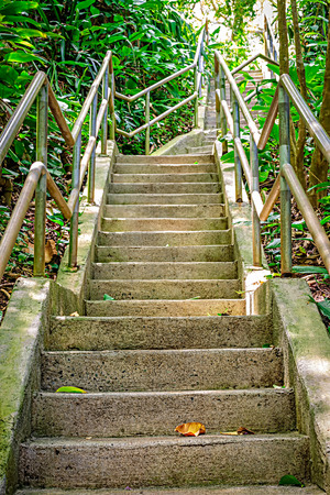 Stairway through the lush jungle setting of Wahiawa Botanical Gardens on Oahu, Hawaii