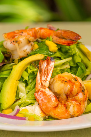 Italian prawn salad with mango, purple onion and avocadoの写真素材