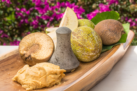 Traditional Hawaiian fare of Ulu pounded into paiaiの写真素材