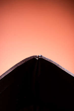 Leather mask divides orange background into two parts.