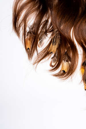 Multicolored feathers are woven into dark brown hair on a white backgroundの写真素材