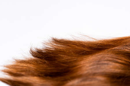 Dark long hair rests on a white backgroundの写真素材