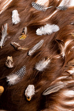 Many feathers of different birds are woven into dark long hair on a white backgroundの写真素材