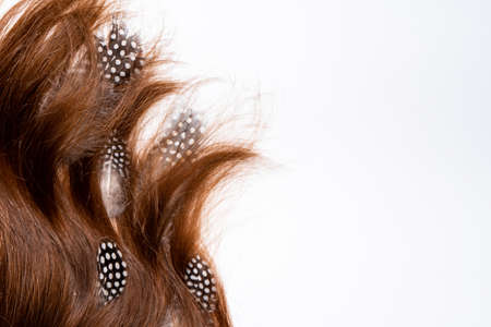 Multicolored feathers are woven into dark brown hair on a white backgroundの写真素材