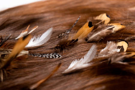 Many feathers of different birds are woven into dark long hair on a white backgroundの写真素材