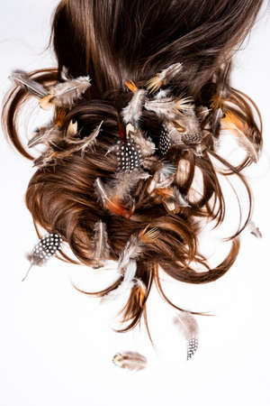 Feathers fall randomly on scattered womens hair on a white backgroundの写真素材