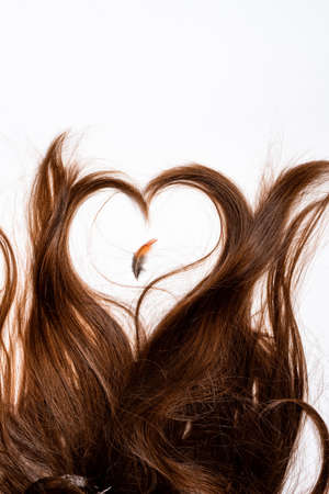 Heart-shaped hair with a pen in the center on a white backgroundの写真素材