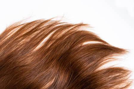 Bright brown hair on a white background close-upの写真素材