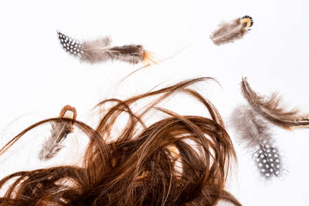 Hair mixed with feathers lie on a white tableの写真素材