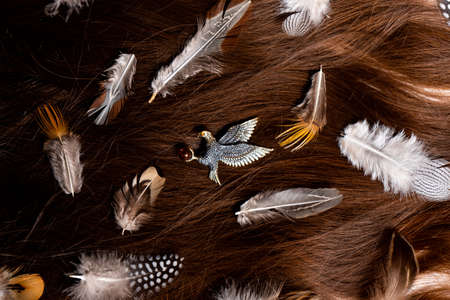 The eagle-shaped eagle in amber and bronze lies on the womens hair next to the birds feathersの写真素材