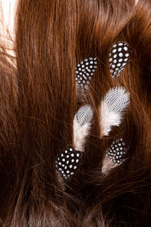 Feathers are woven into brown hairの写真素材