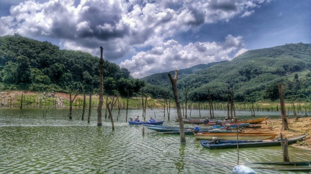 Unseen HALA - BALA Wildlife Amazon of Asian.の素材