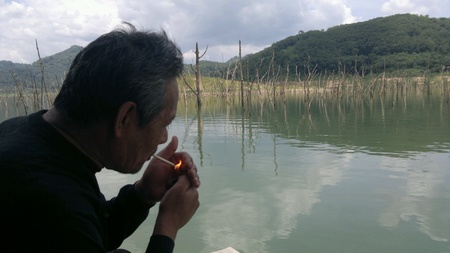 Unseen HALA - BALA Wildlife Amazon of Asian.の素材