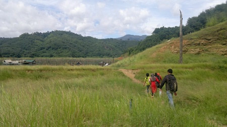 Unseen HALA - BALA Wildlife Amazon of Asian.の素材