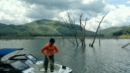 Unseen HALA - BALA Wildlife Amazon of Asian.の素材