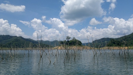 Unseen HALA - BALA Wildlife Amazon of Asian.の素材