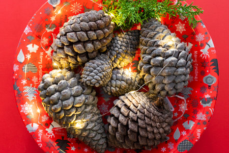 Christmas decoration with pine cones on a red plate on a red background