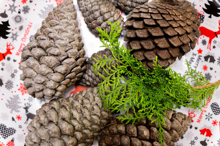 Pine cones on a Christmas background. Close-up, macro.の写真素材