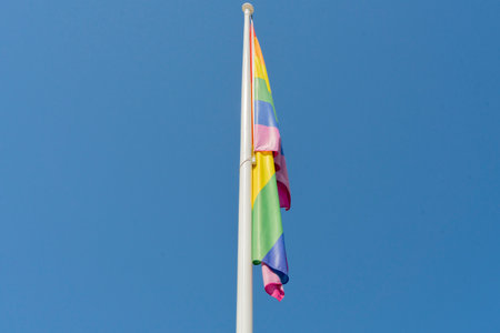 Pet paw print on the flag in the sunny dayの写真素材