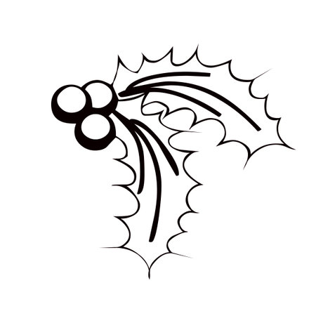 Christmas holly berry black and white outline vector illustration graphic designのイラスト素材