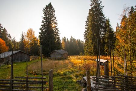 Glorious autumn day in Scandinavia in Sweden