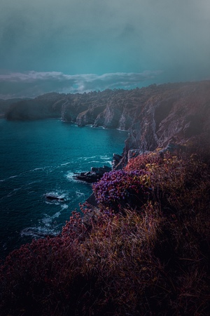 the great view of the sea in the coast in autumn