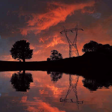 trees and sunsetの写真素材