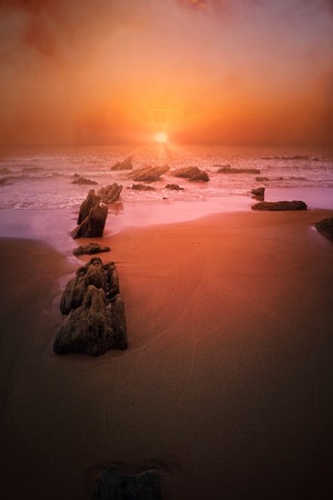 the sunset in the beach in the coastの写真素材