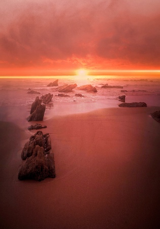 the sunset in the beach in the coastの写真素材
