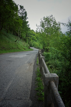 the road in the forestの写真素材