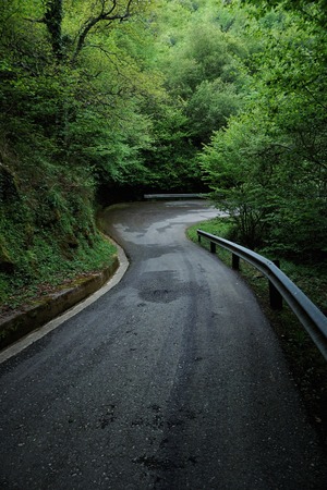 the road and green trees in the forest in the mountainの写真素材