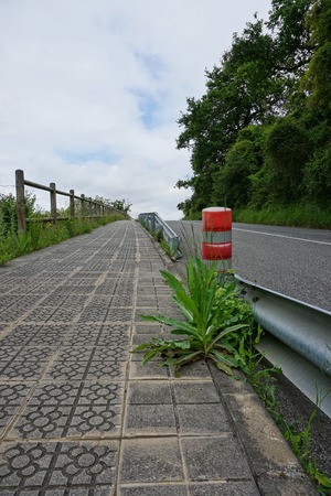 the road and green trees in the forest in the mountainの写真素材