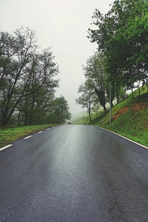the road and green trees in the forest in the mountainの写真素材
