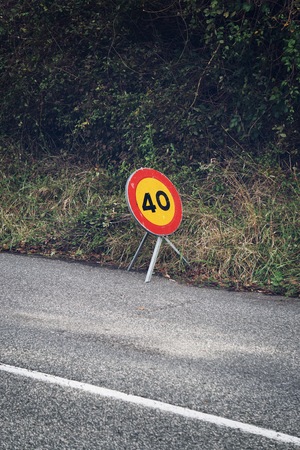 road and green trees in the forest in the mountainの写真素材