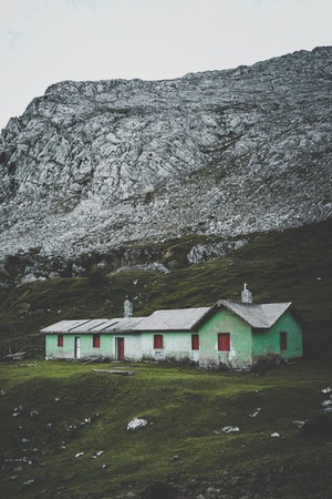 trees in the mountain in the natureの写真素材