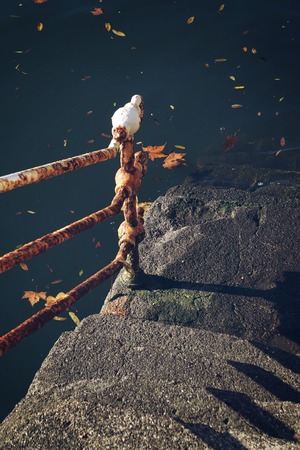 stairs structure architecture in the streetの写真素材