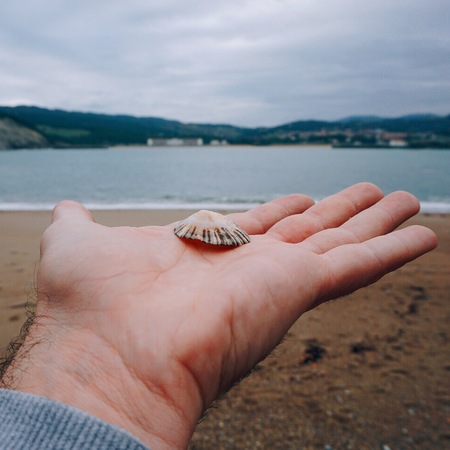 hand with shell in the beachの写真素材