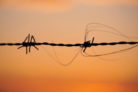 sun and sunset in the sky in the natureの写真素材
