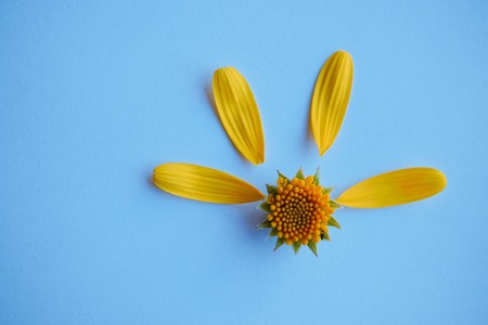 beautiful yellow flower petals decorativeの写真素材