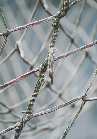 rope web texture pattern