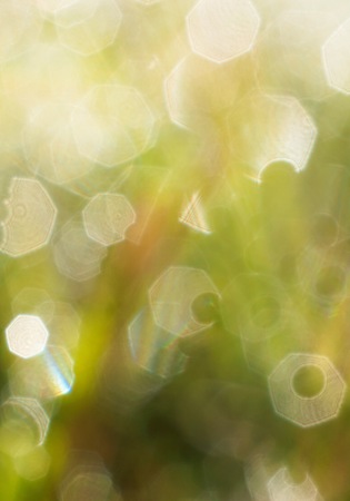 abstract green light texture pattern