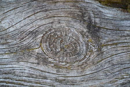 wooden texture patternの写真素材