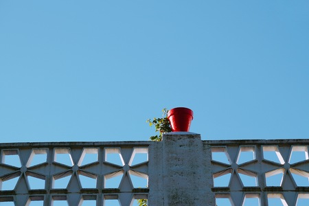 plant and flower pot in the streetの写真素材